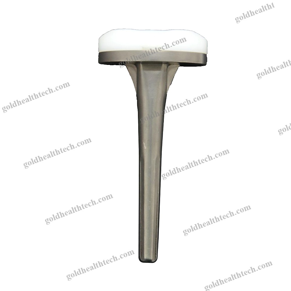 Revision Tibial Bearing
