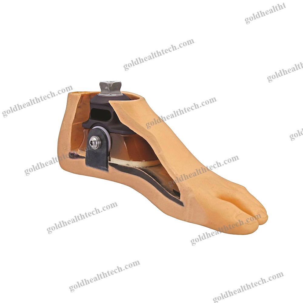 Sach Prosthetic Foot