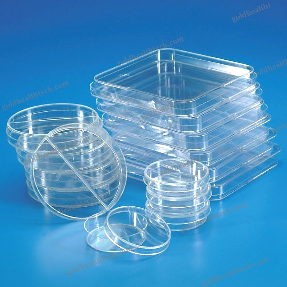 Scientific Research Petri Dish