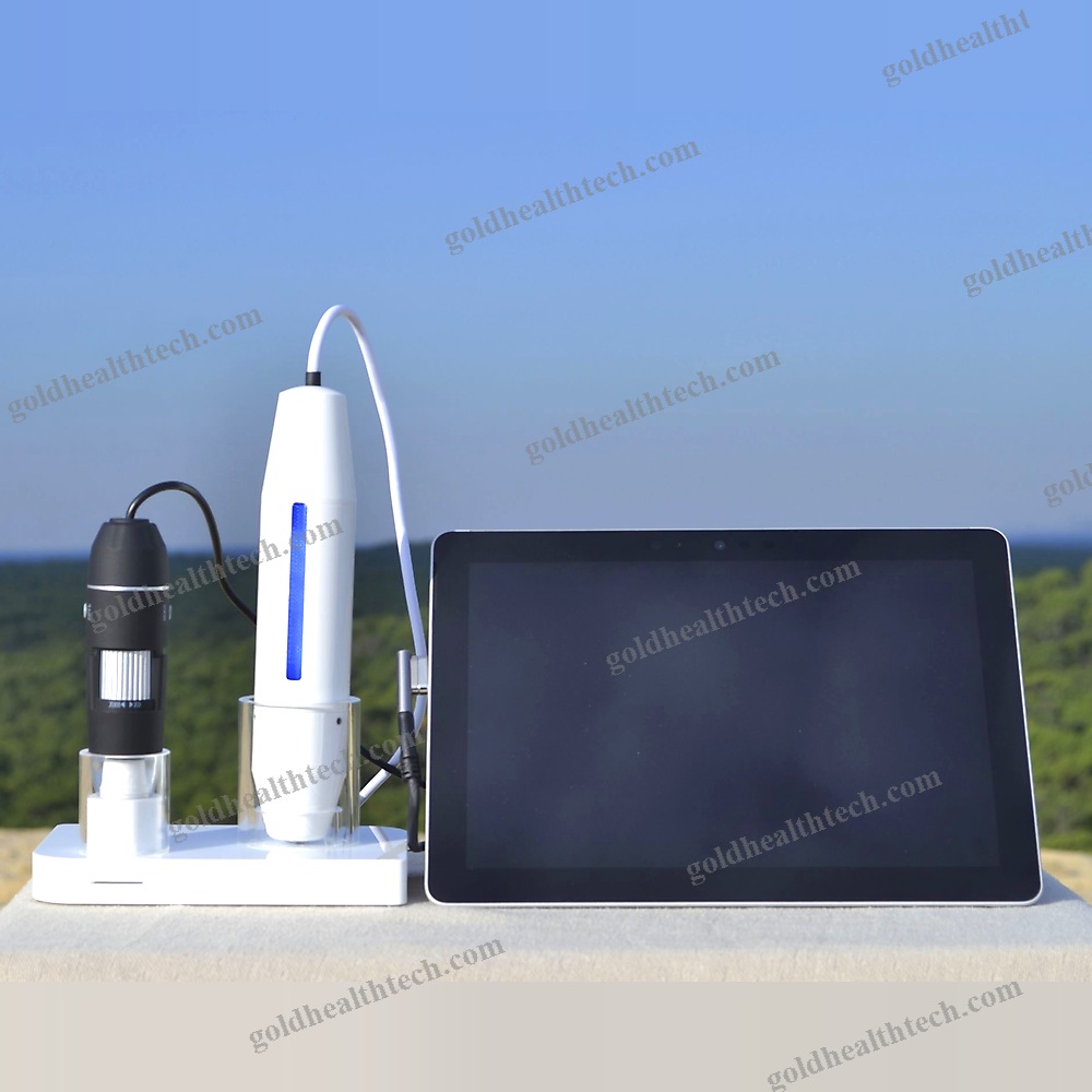 Skin Pigmentation Analysis System