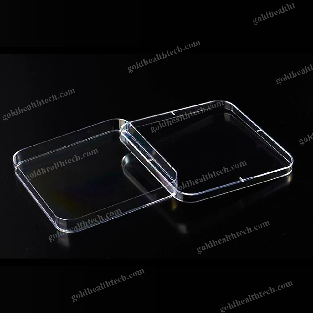Square Petri Dish 1