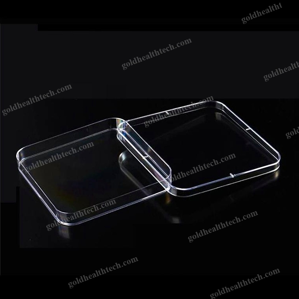 Square Petri Dish