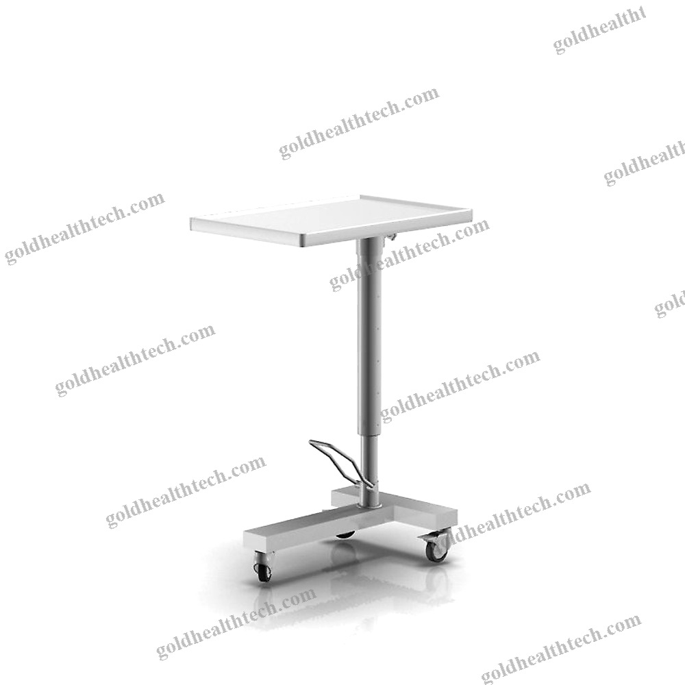 Stainless Steel Instrument Table
