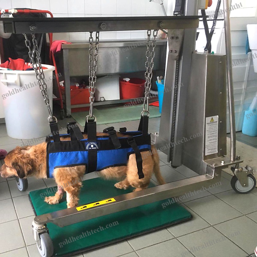 Sterilization Trolley
