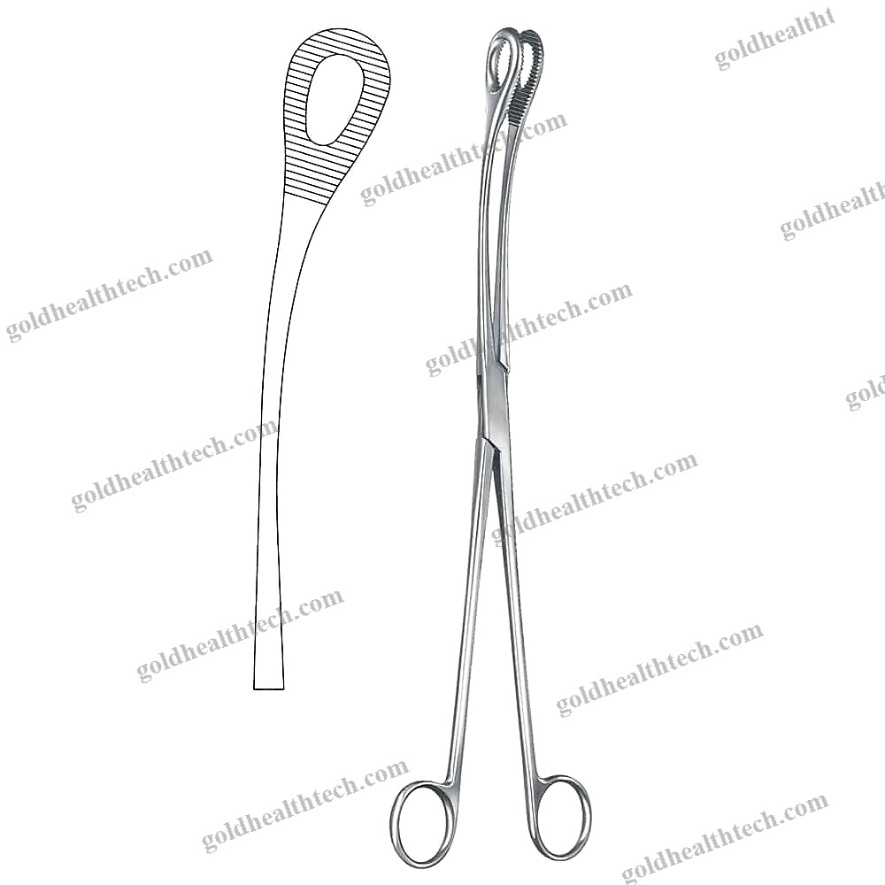 Surgery Forceps