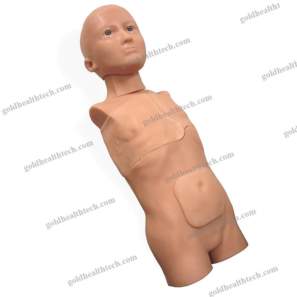 Surgical Patient Simulator