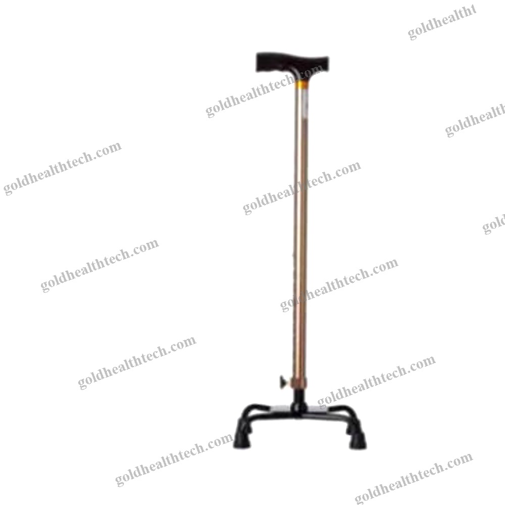 T-Handle Walking Stick