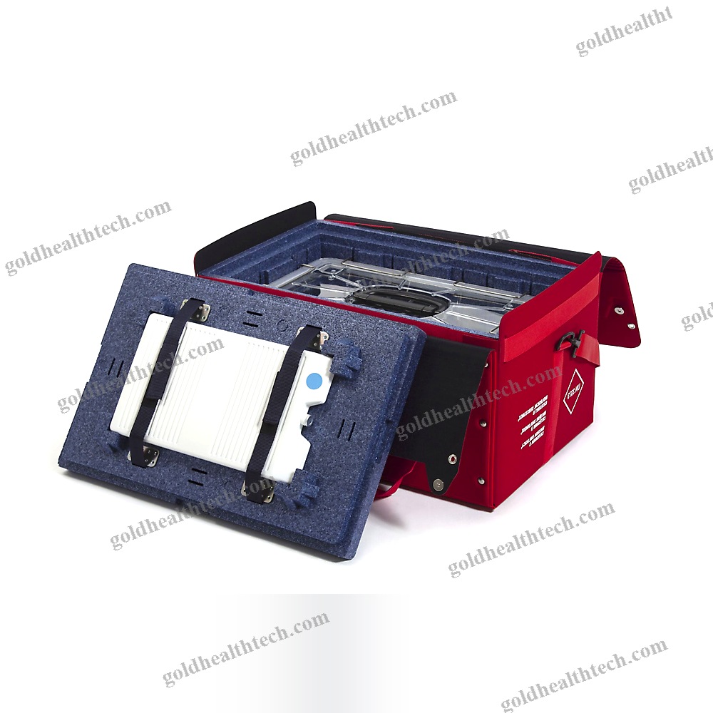 Temperature-Sensitive Product Bag 1