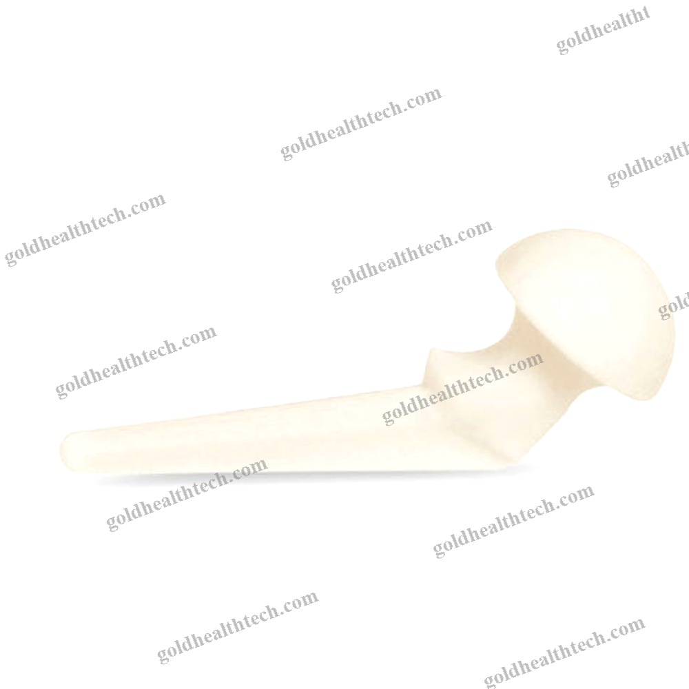 Temporary Hip Spacer