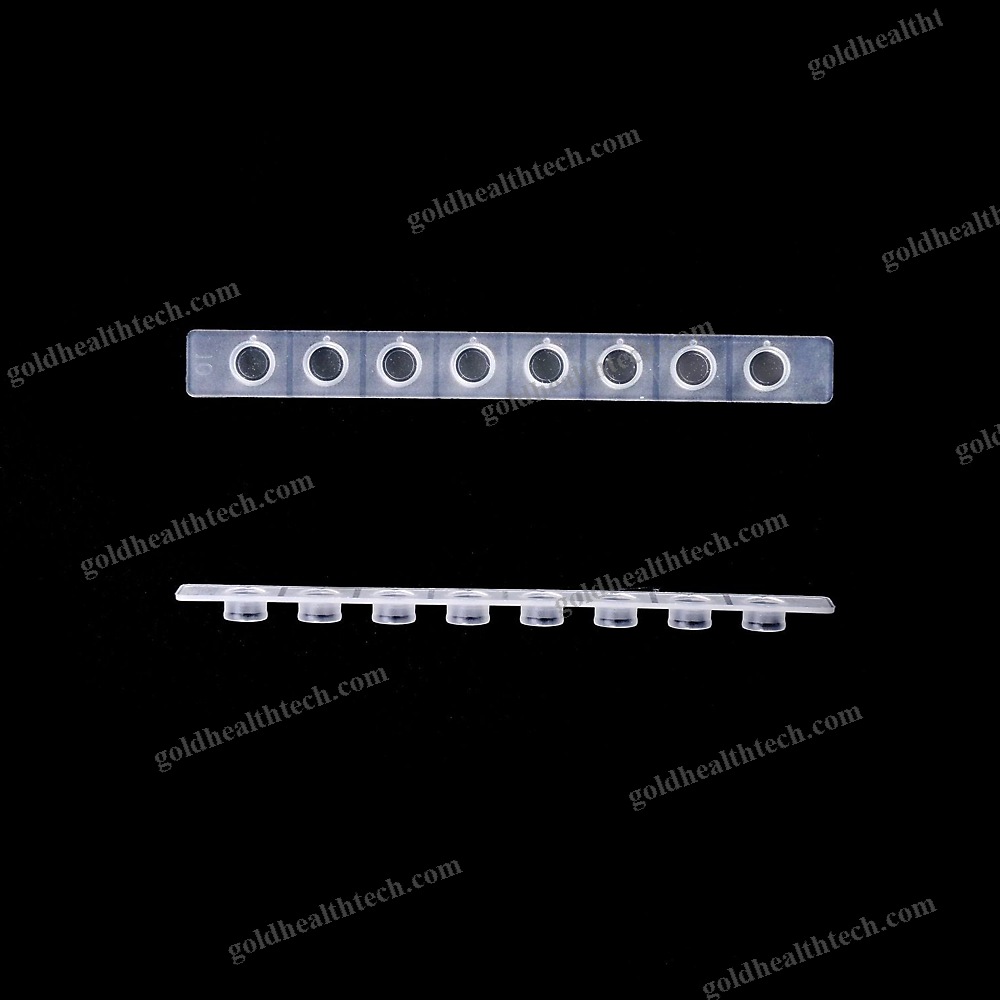 Test Tube Cap