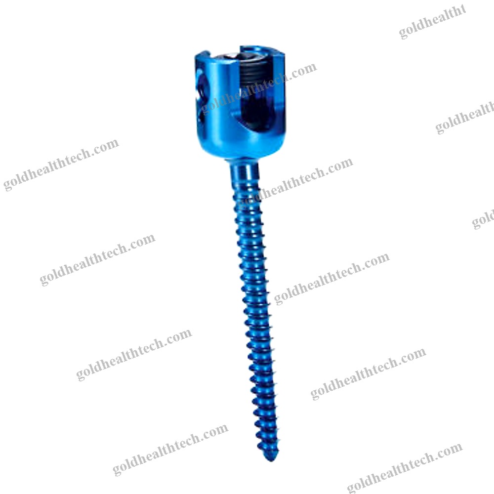 Thoracic-Lumbar Vertebra Pedicle Screw