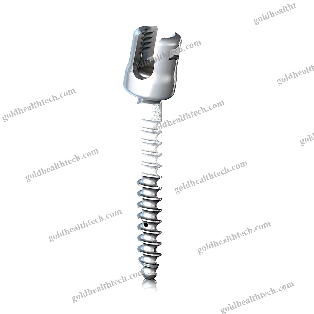 Thoracic-Lumbar Vertebra Pedicle Screw