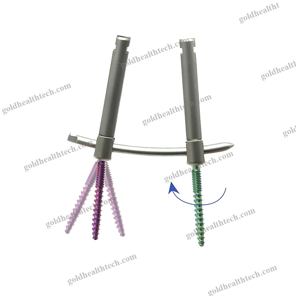 Thoraco-Lumbar Osteosynthesis Unit