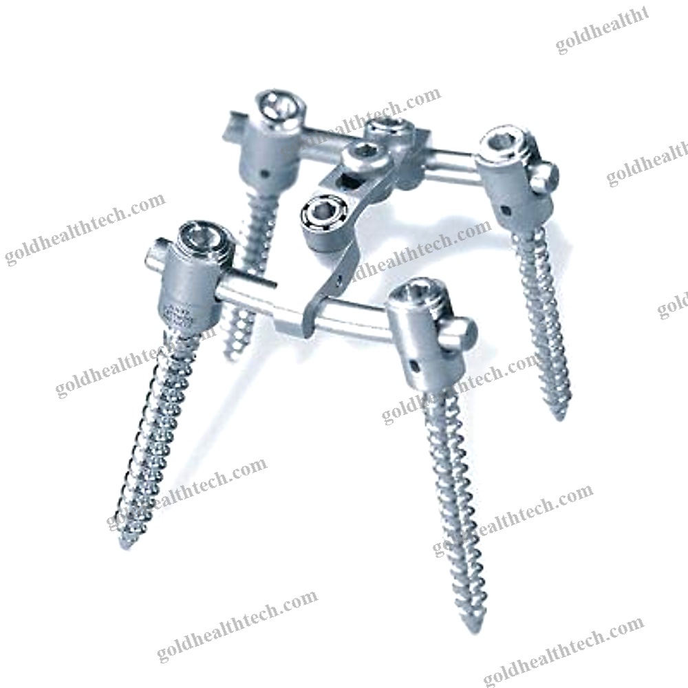 Thoraco-Lumbar Osteosynthesis Unit