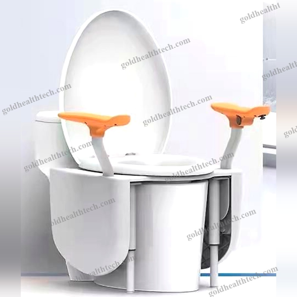 Toilet Grab Bar