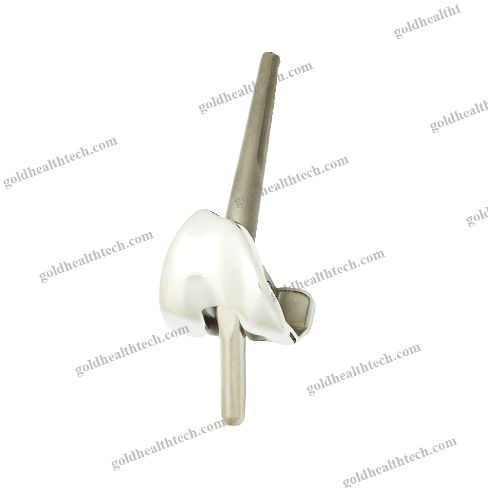 Total Knee Prosthesis
