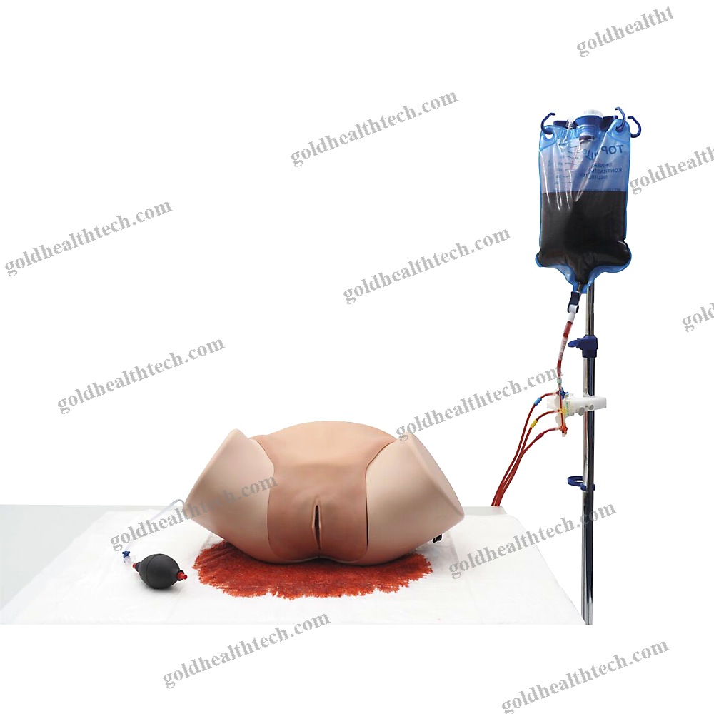 Training Simulator