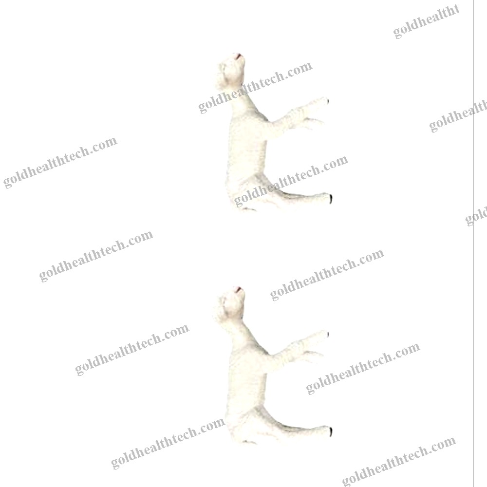 Training Simulator