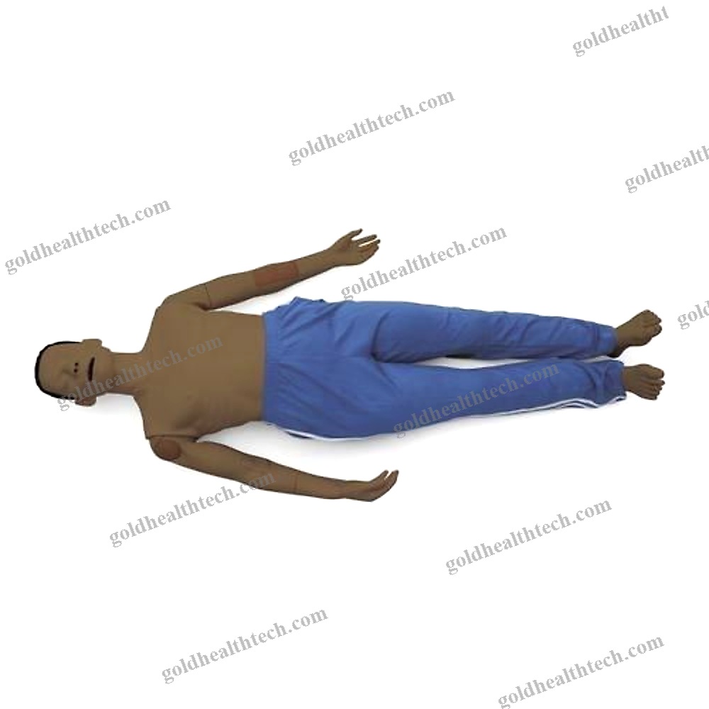 Training Simulator