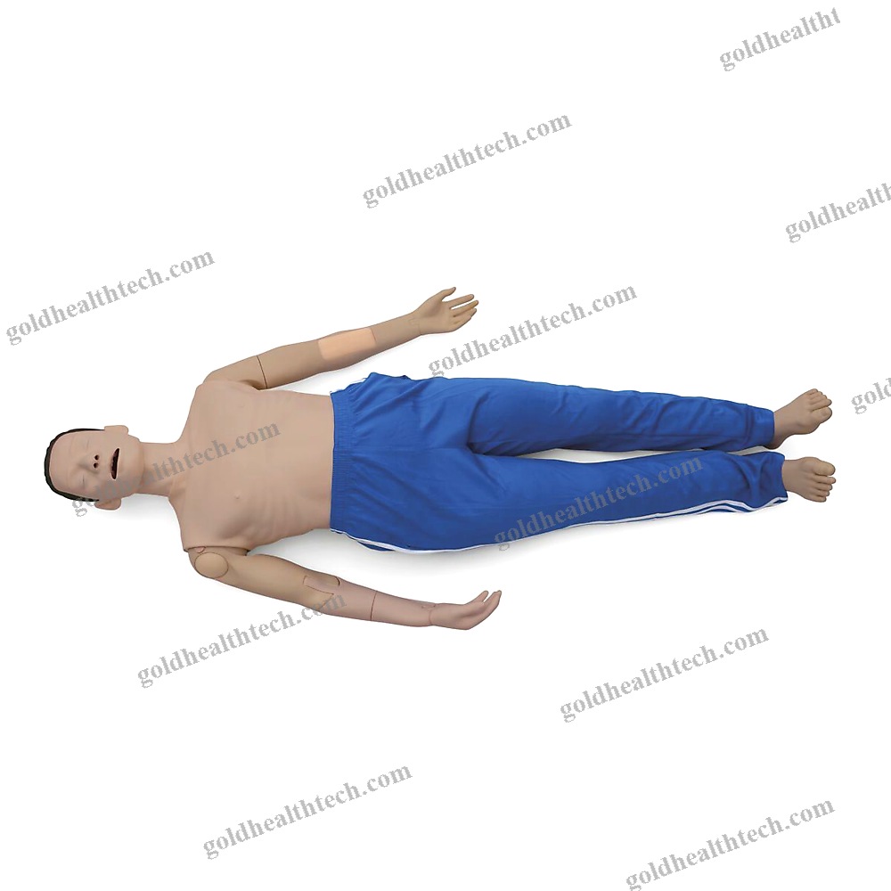 Training Simulator