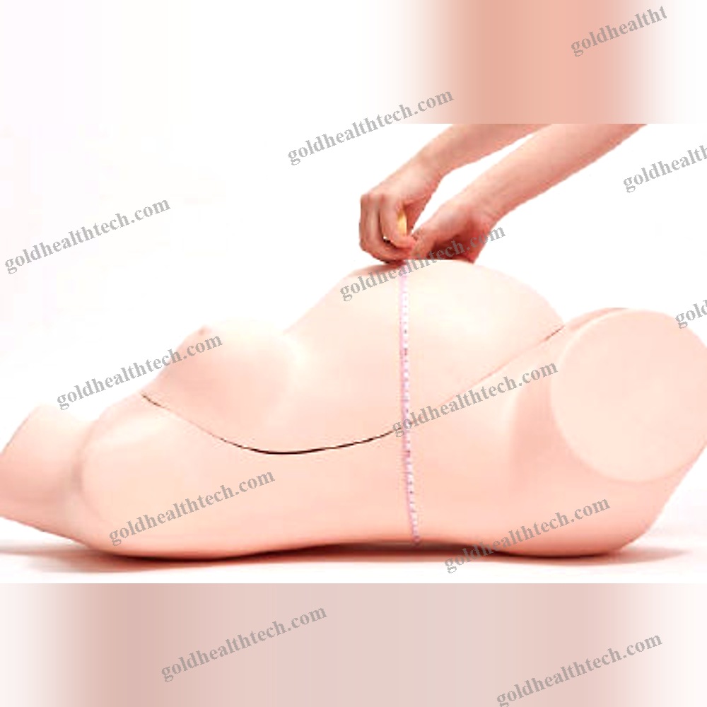 Training Simulator 1