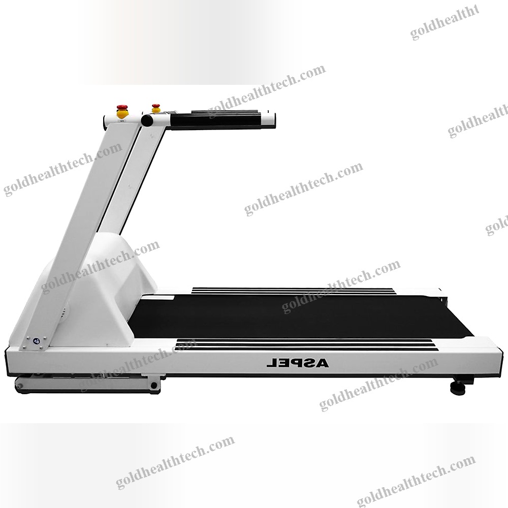 Treadmill Ergometer With Handrails 1