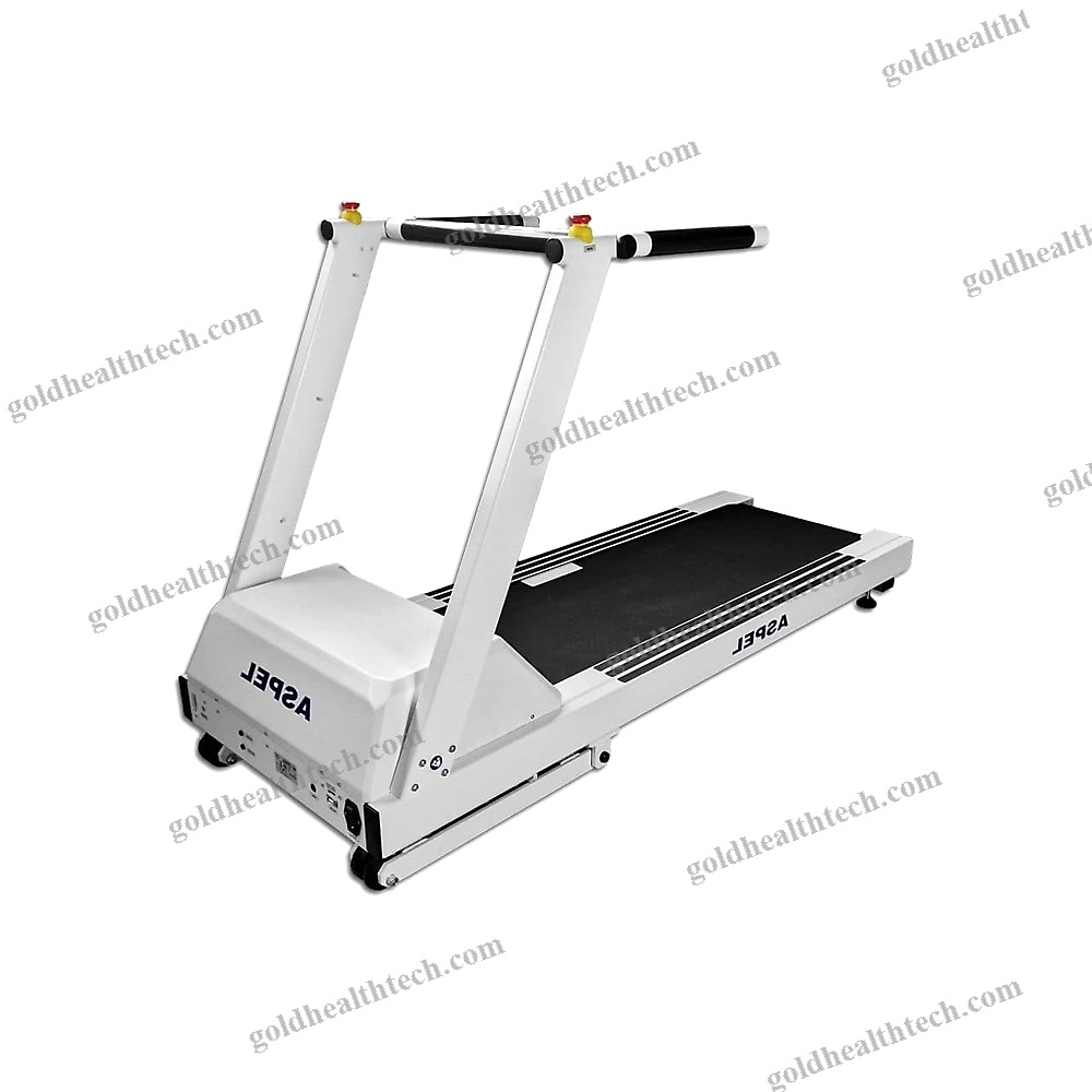 Treadmill Ergometer With Handrails