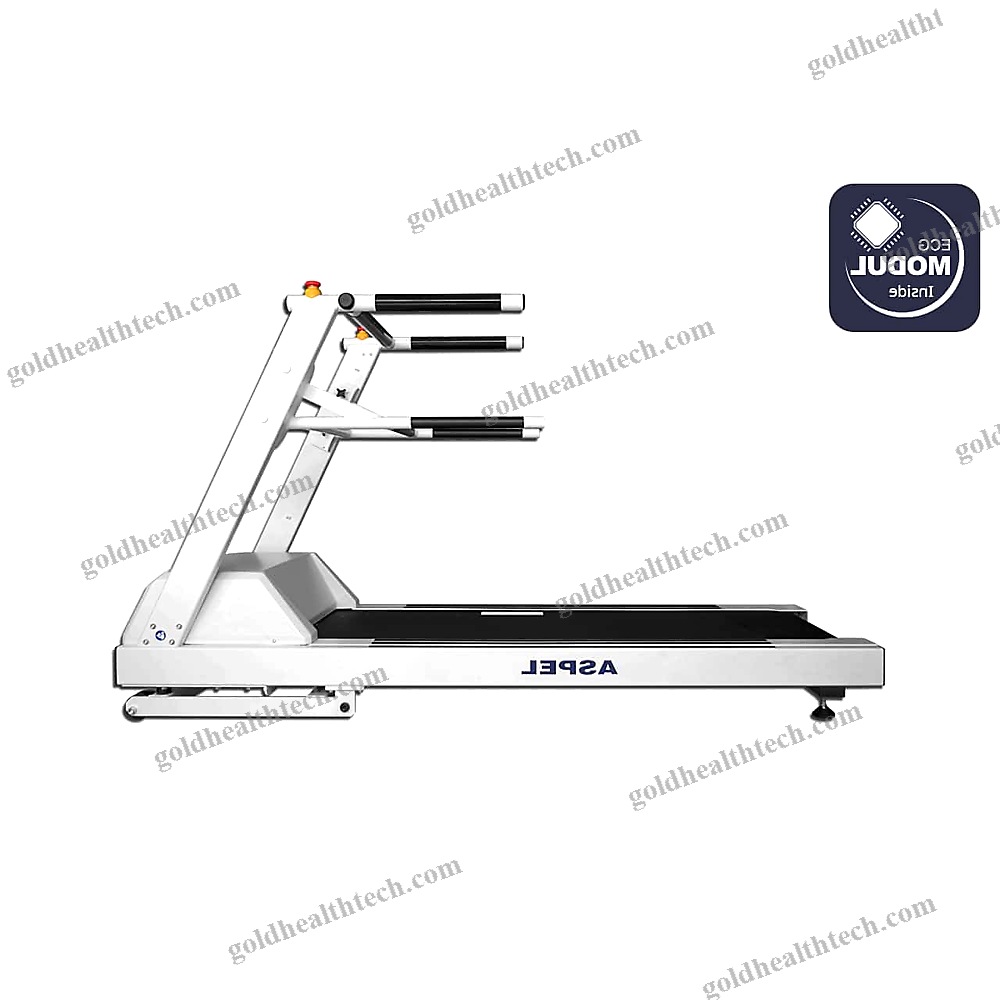 Treadmill Ergometer With Handrails 1