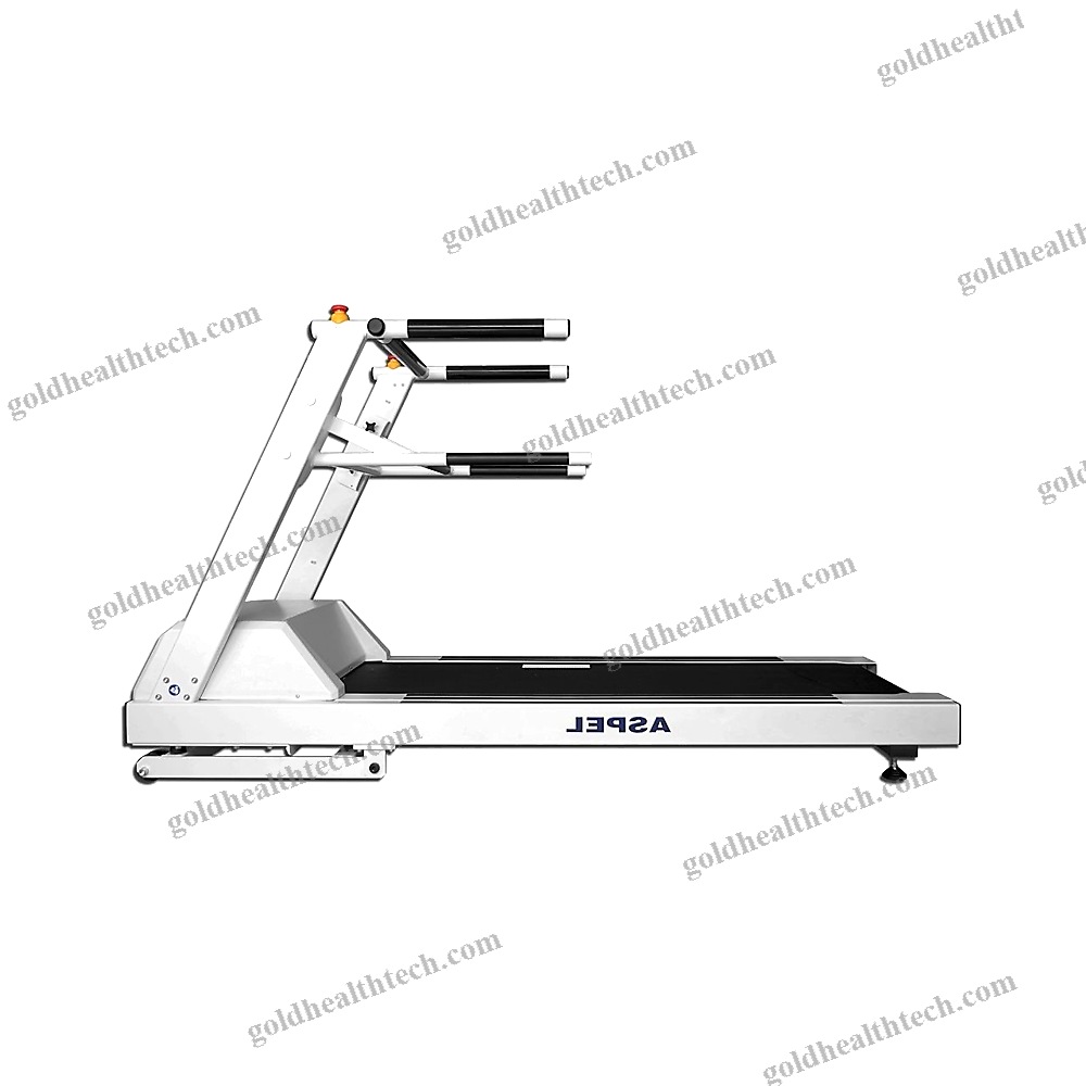 Treadmill Ergometer With Handrails