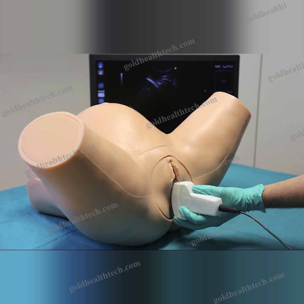 Ultrasound Imaging Simulator
