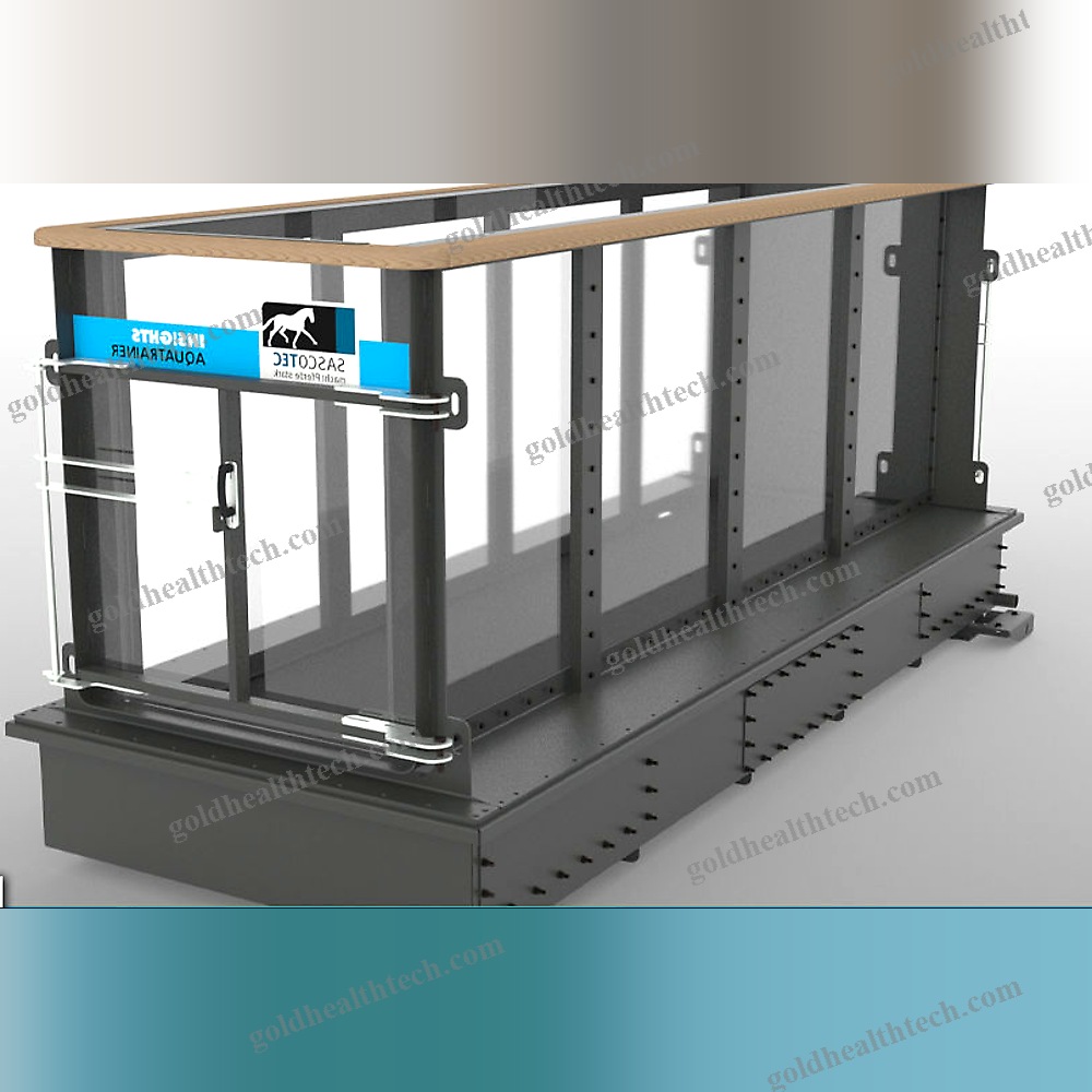 Underwater Veterinary Treadmill