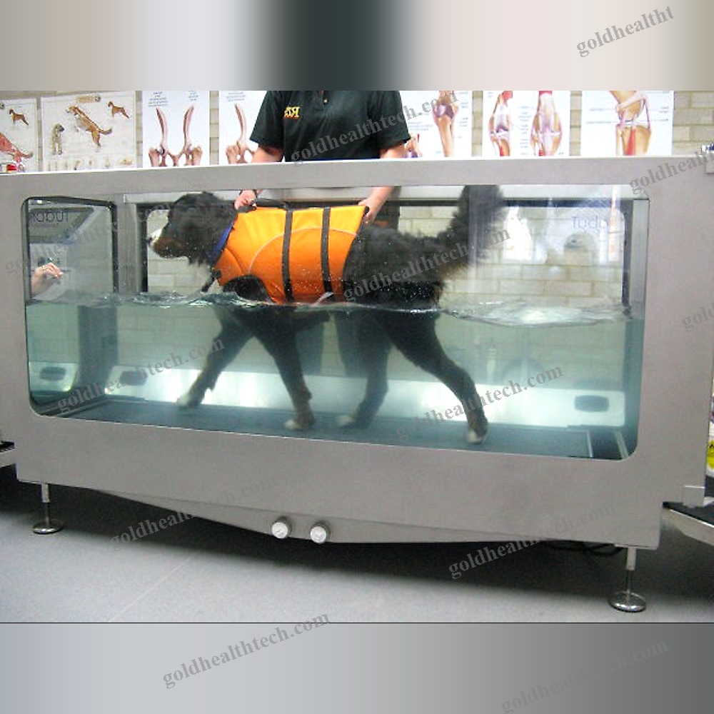 Underwater Veterinary Treadmill