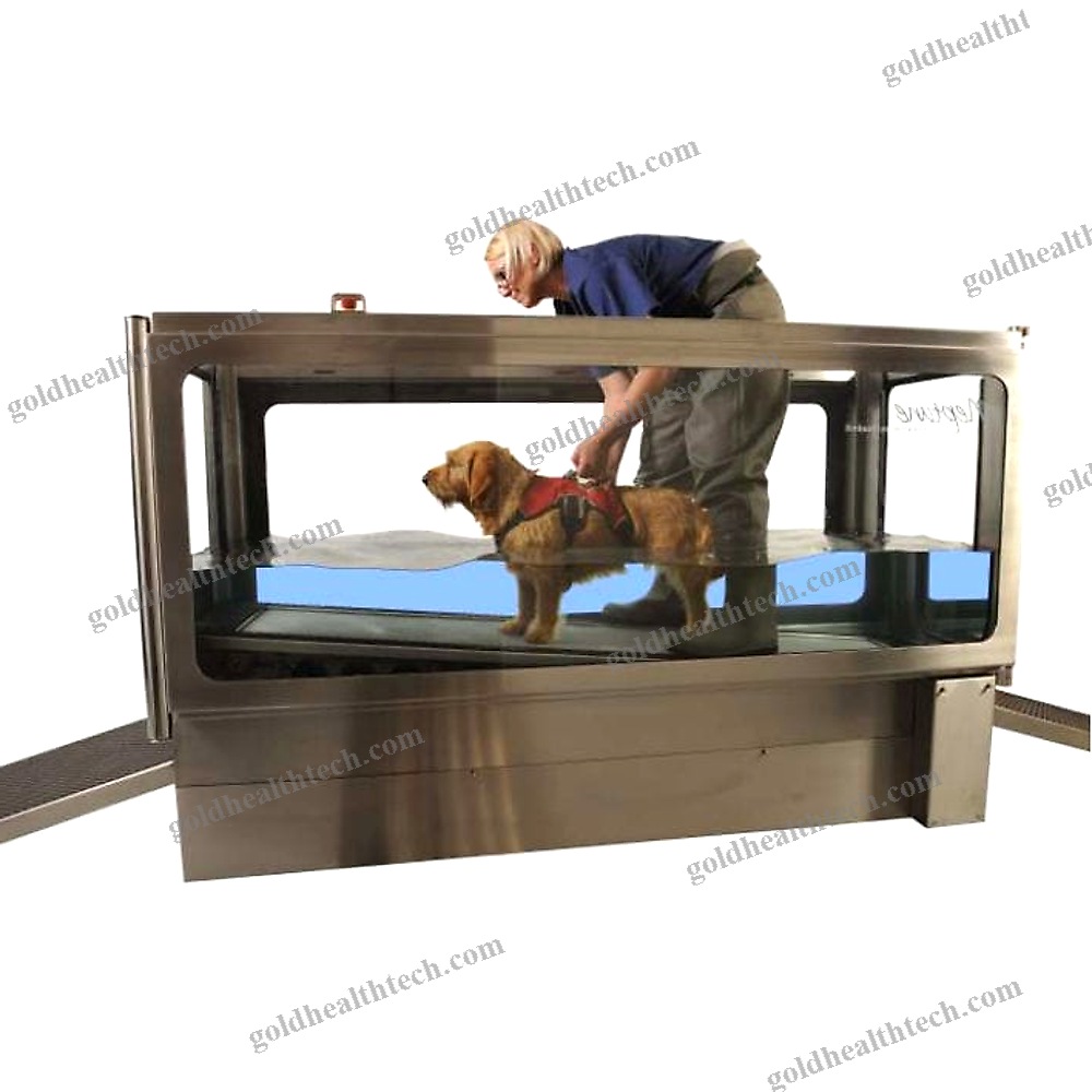 Underwater Veterinary Treadmill
