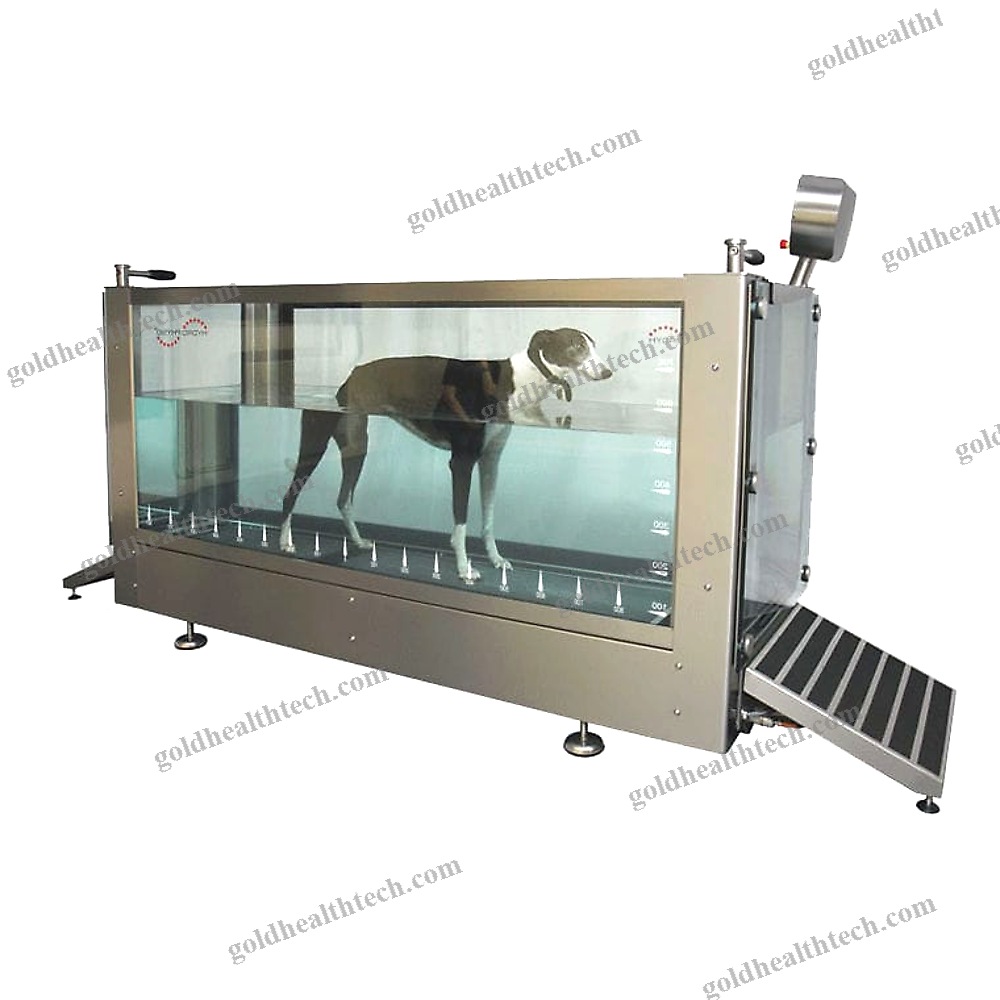 Underwater Veterinary Treadmill