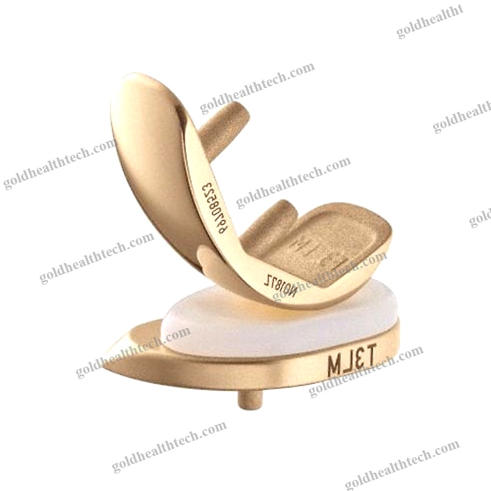 Unicompartmental Knee Prosthesis