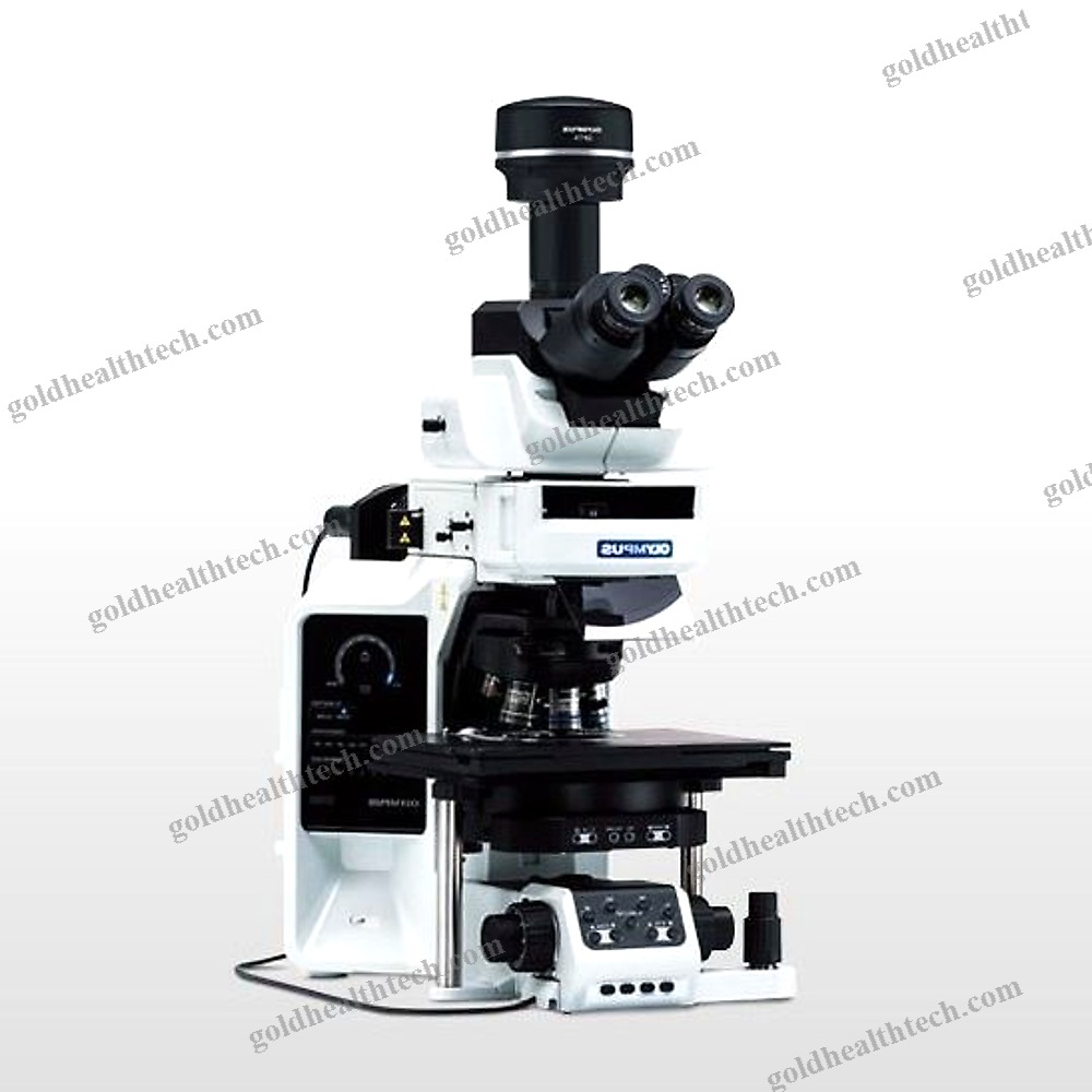 Upright Microscope