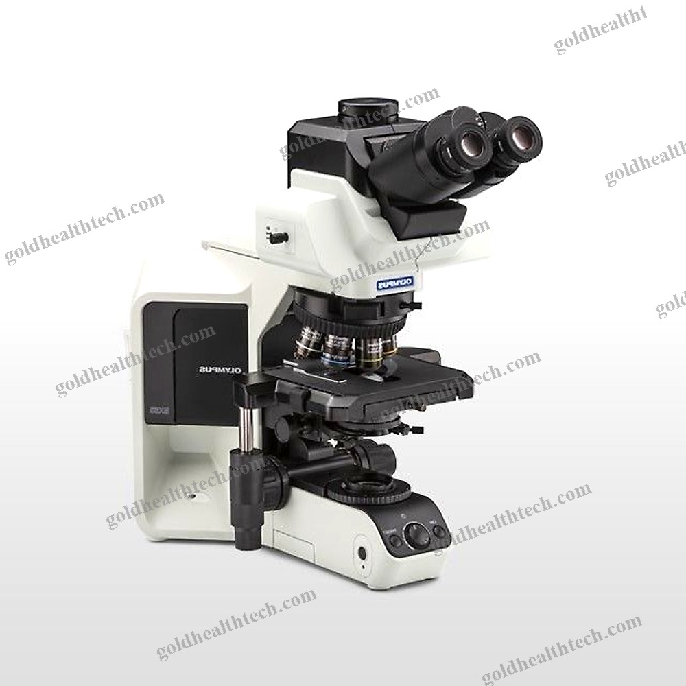 Upright Microscope