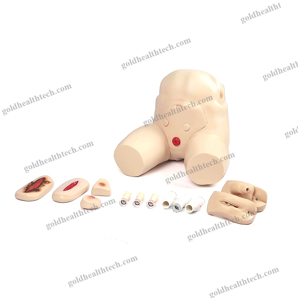 Urinary Catheterization Simulator