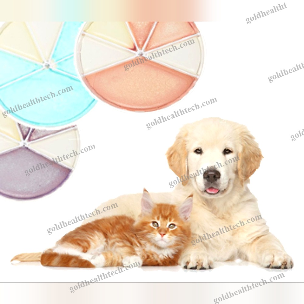 Urinary Tract Infection Test Kit