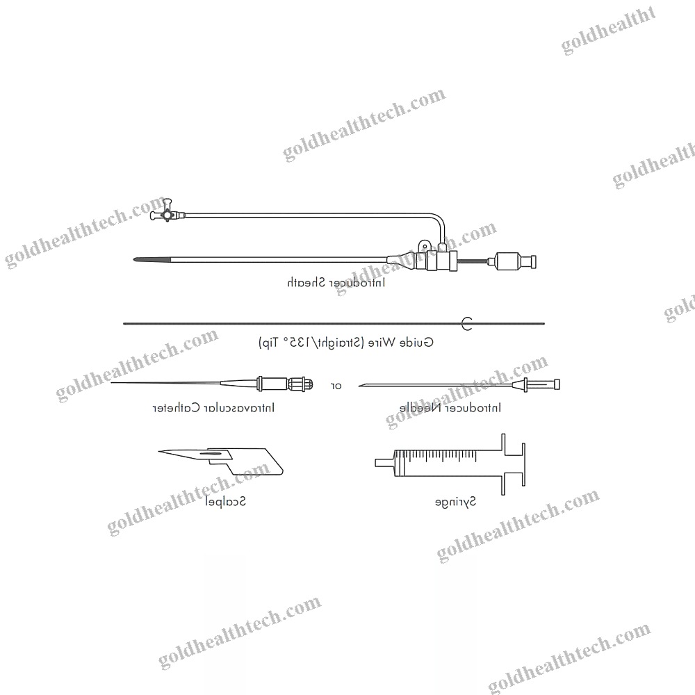 Vascular Access Sheath 1