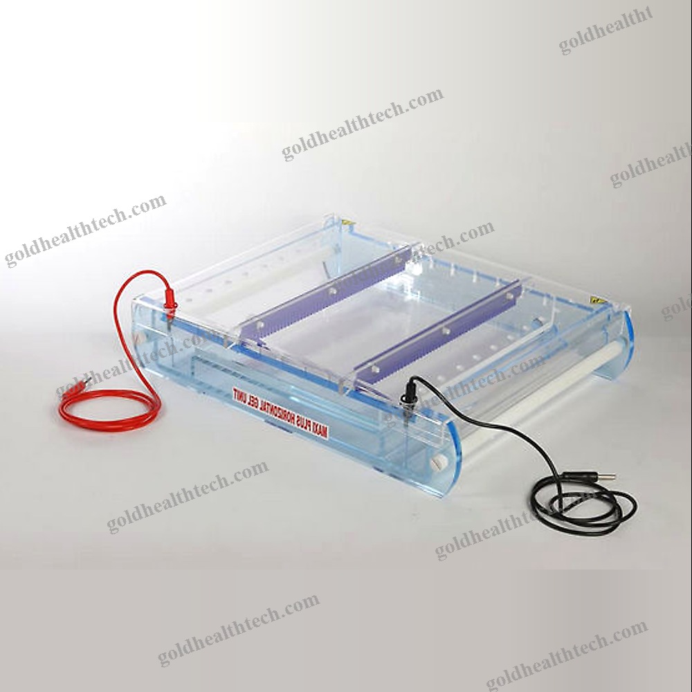 Vertical Electrophoresis Chamber