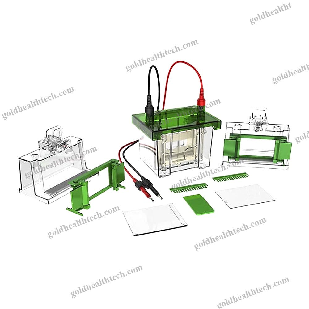 Vertical Electrophoresis Tank
