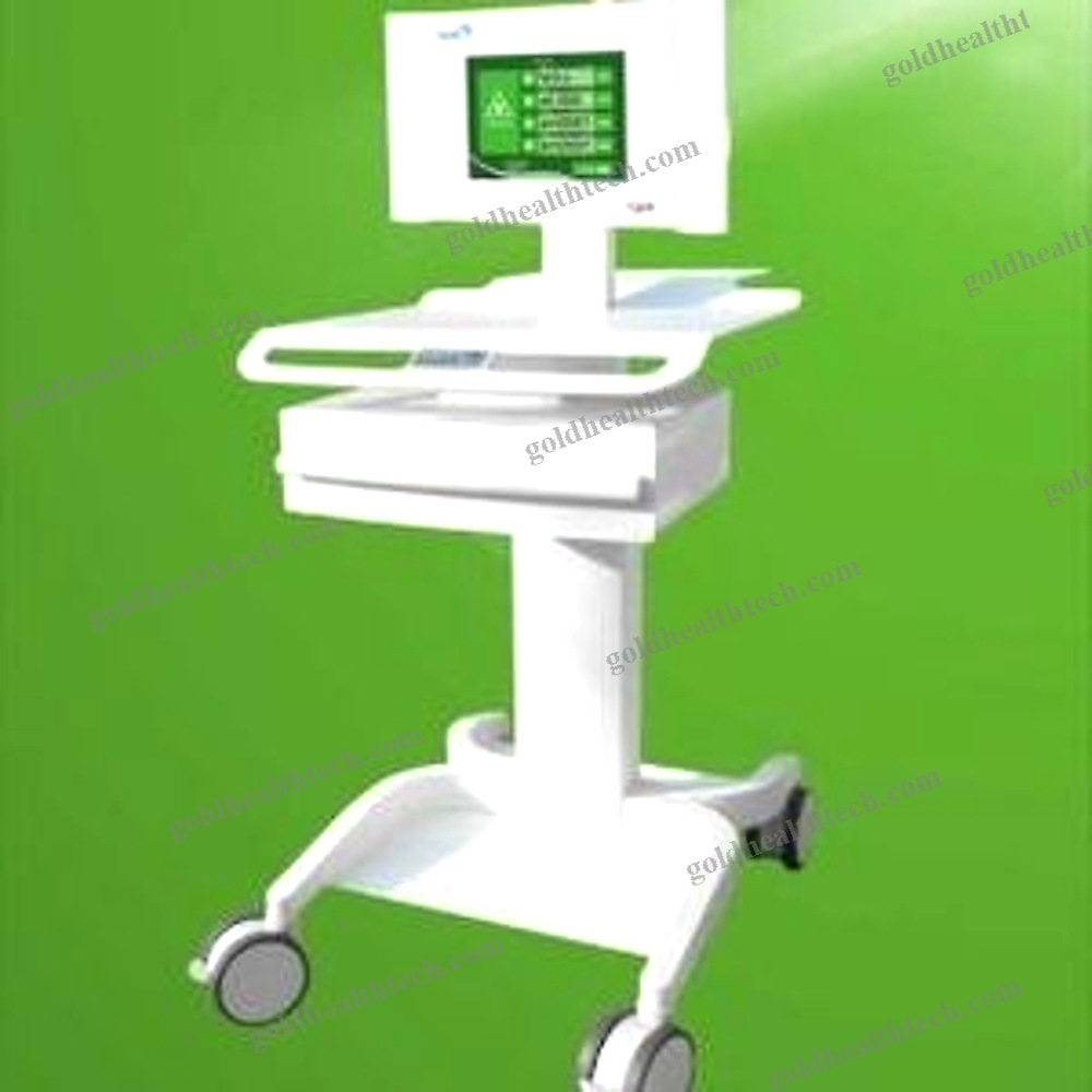 Veterinary Biostimulation Laser