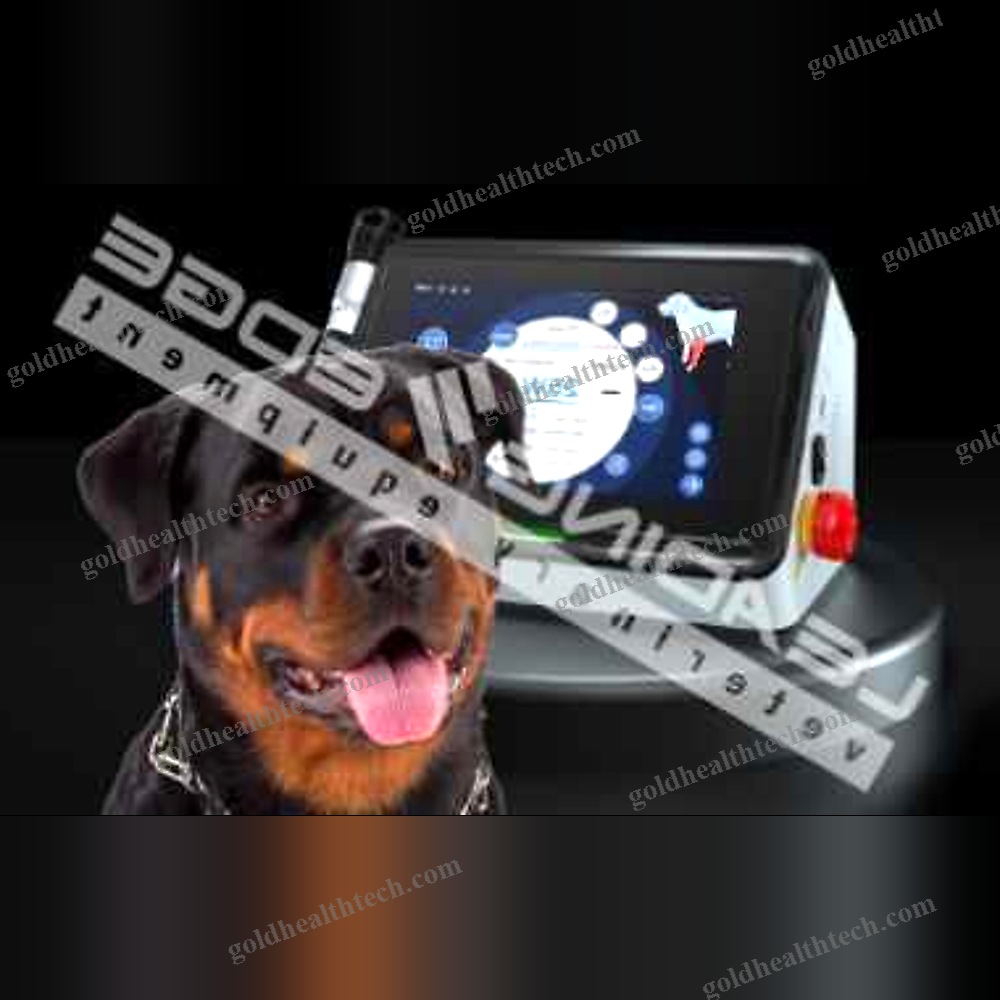Veterinary Biostimulation Laser