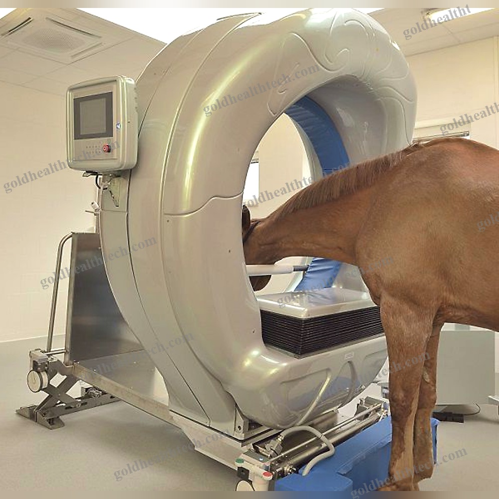 Veterinary Ct Scanner