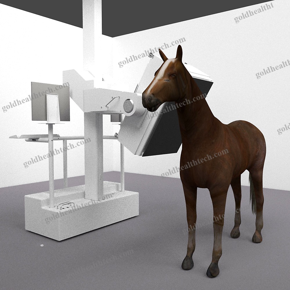 Veterinary Ct Scanner