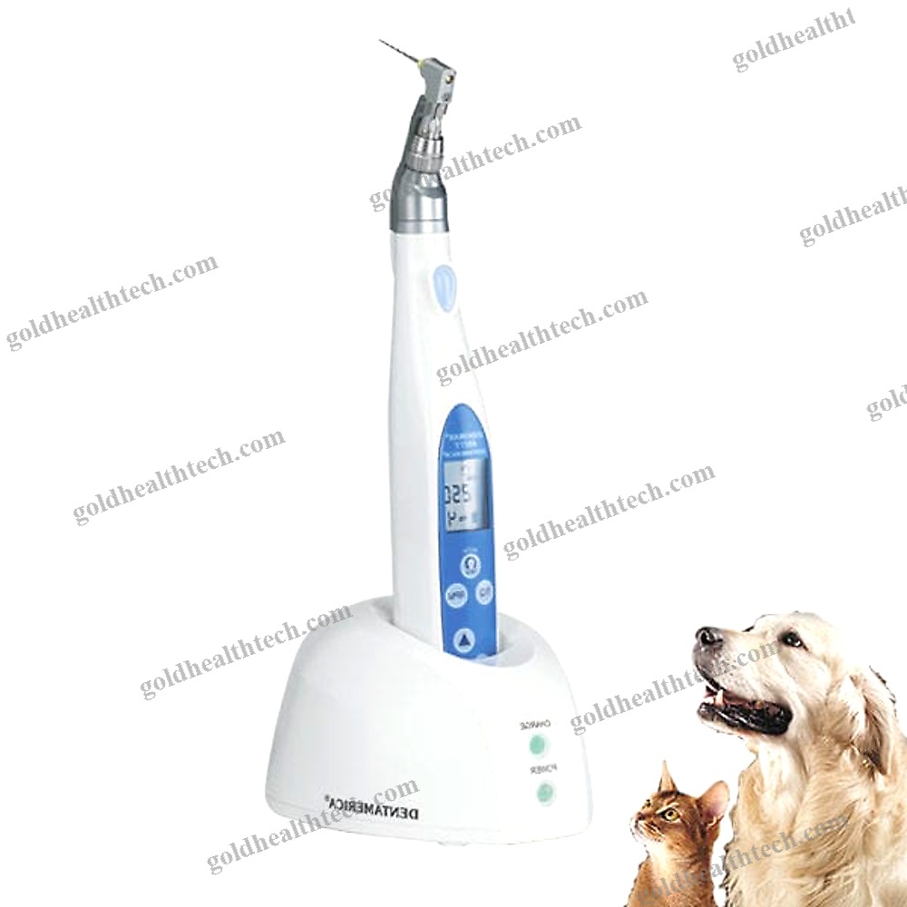 Veterinary Dental Micromotor