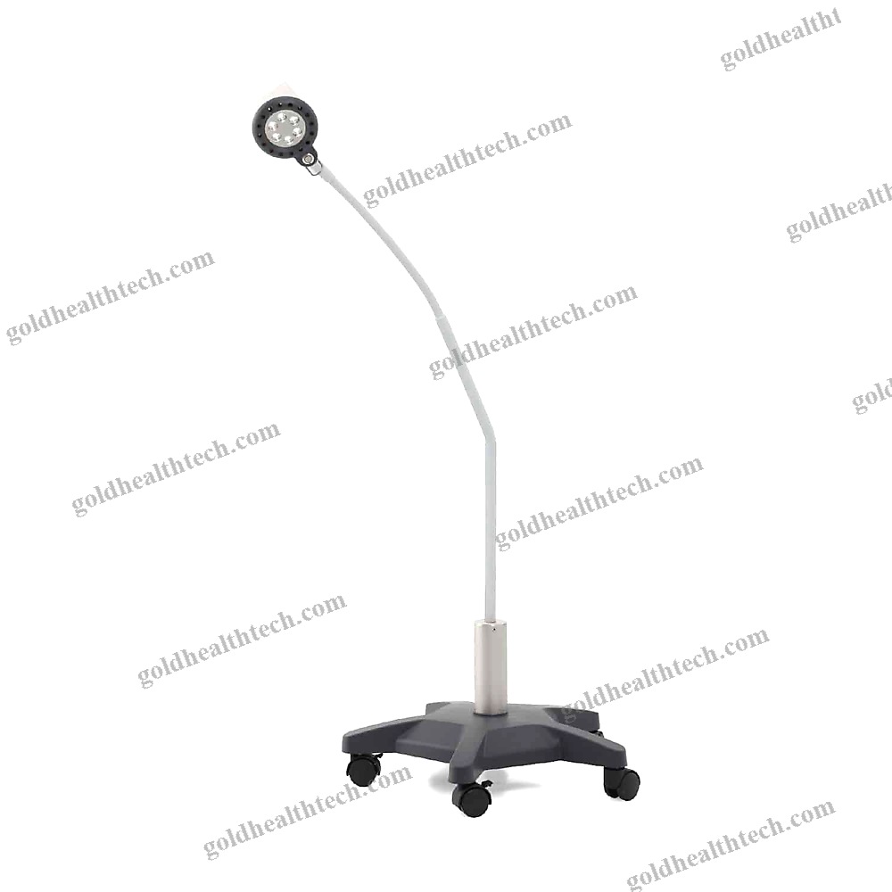 Veterinary Examination Lamp