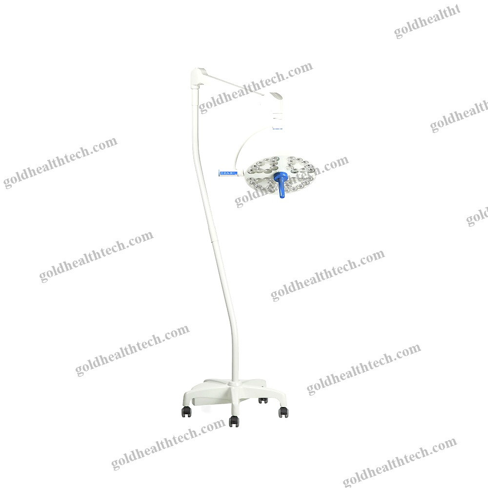 Veterinary Examination Lamp