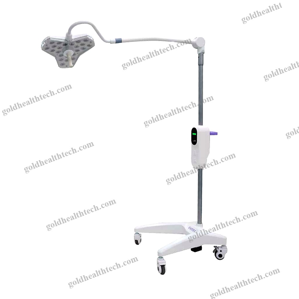 Veterinary Examination Lamp